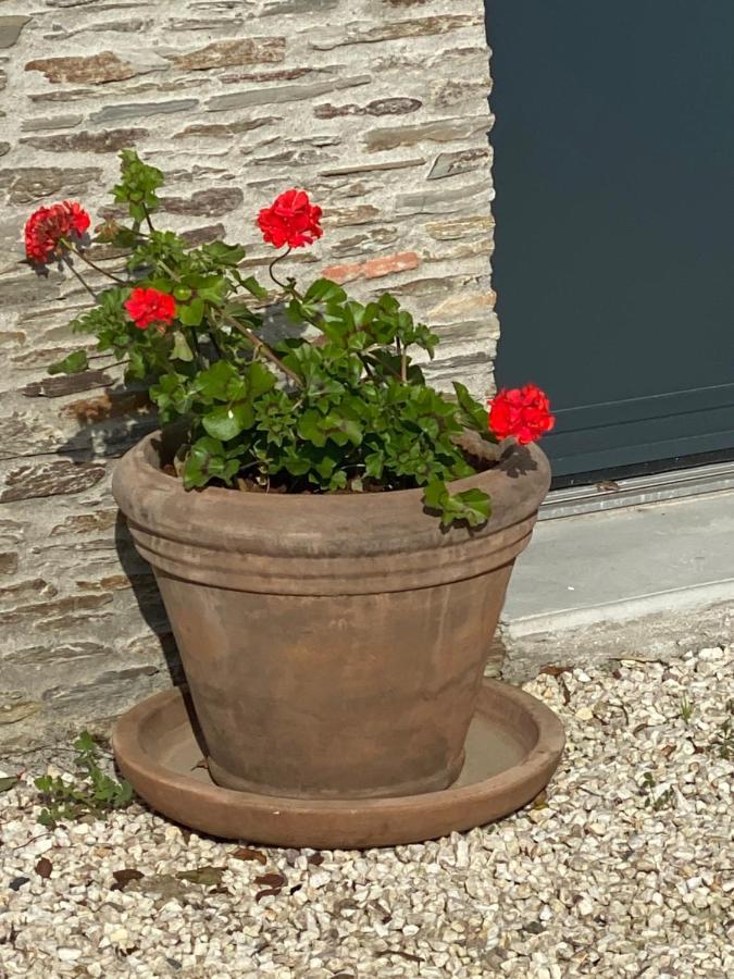 Celine Et Olivier Bed & Breakfast Pornic Bagian luar foto