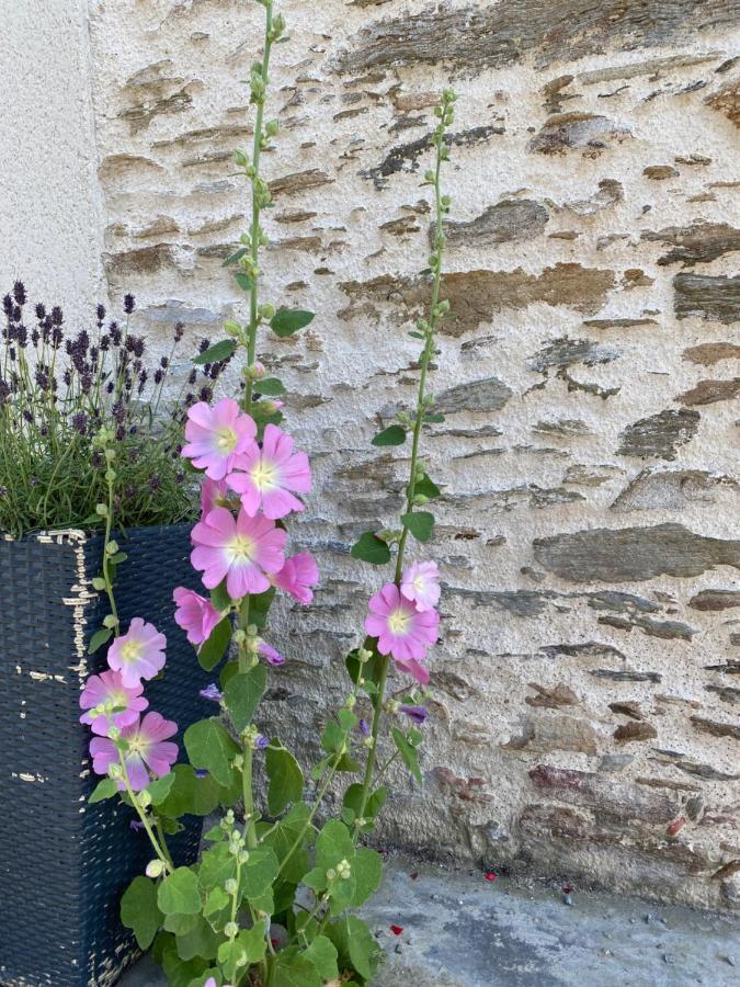 Celine Et Olivier Bed & Breakfast Pornic Bagian luar foto